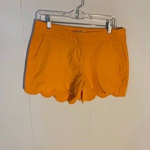 Crown & Ivy orange scalloped short size 6